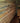 Rustic Reclaimed Pallet Planks - Unique Wall Cladding & Flooring - Anpio woods ltd